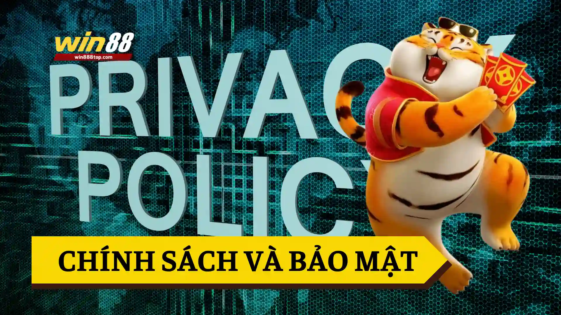 gioi-thieu-chinh-sach-va-bao-mat-winvn